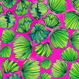 Lilly-Clams-23-thumb.jpg