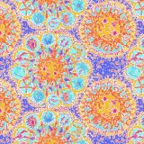 Lilly-Folllow-the-Sun.jpg