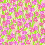 Lilly-Gladiolas.jpg