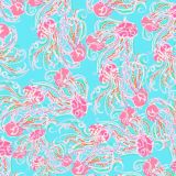 Lilly-Jellies.jpg