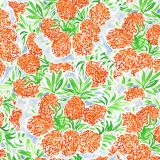 Lilly-Pineapples-thumb.jpg