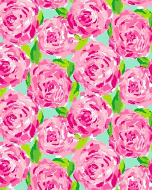 Lilly Pink Roses