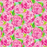 Lilly-Pink-Roses.jpg