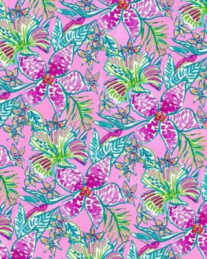 Lilly Ravens Special Gift