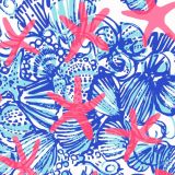 Lilly-Sells-Shells.jpg