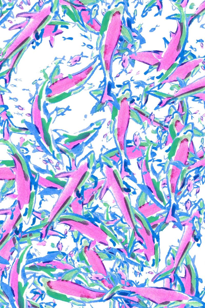 Lilly Shark Attack 22