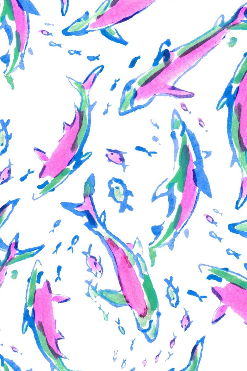 Lilly Shark Attack 23