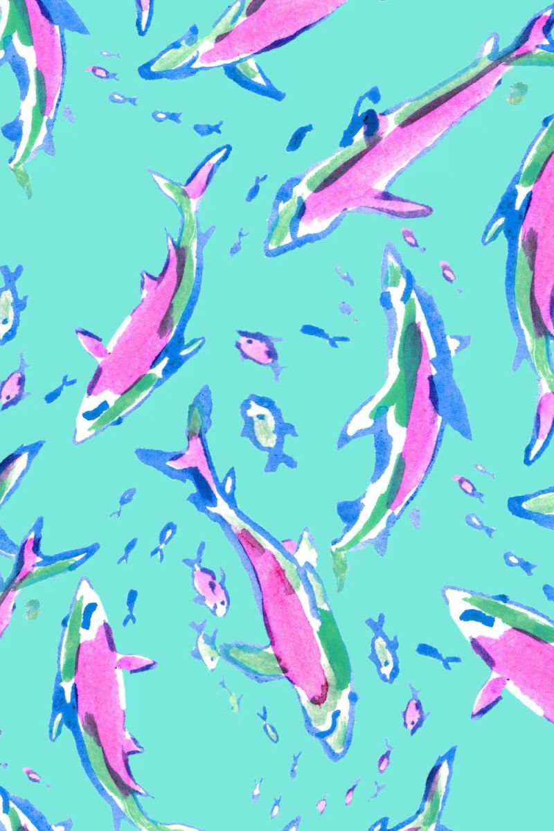 Lilly Shark Attack 24