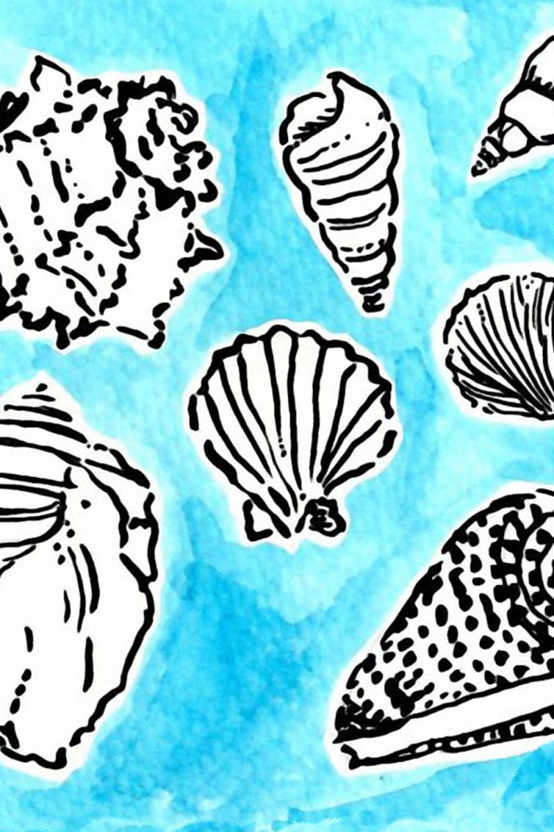 Lilly Shell Yeah