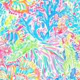 Lilly-Summer-Fling.jpg