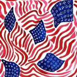 Lilly-US-Flag.jpg
