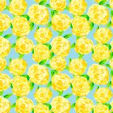 Lilly-Yellow-Roses-22.jpg