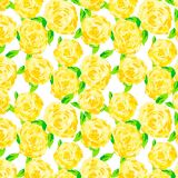 Lilly-Yellow-Roses-23.jpg