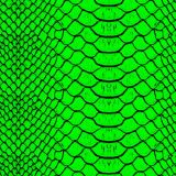 Lime-Snake-Skin.jpg