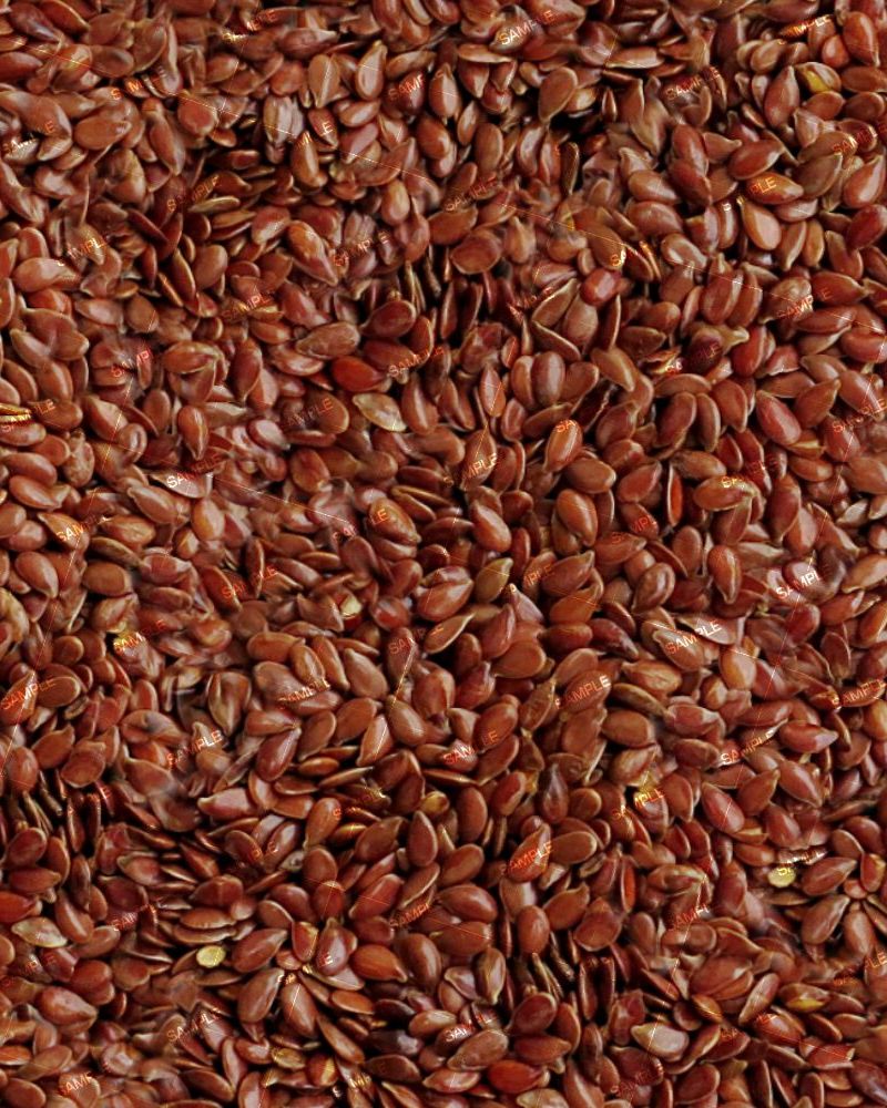 Linseed Flaxseed