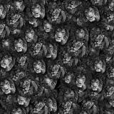 Lion-Faces-22.jpg