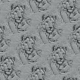 Lion-Love-22.jpg