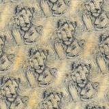 Lion-Love-25.jpg