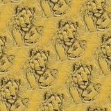 Lion-Love-26.jpg