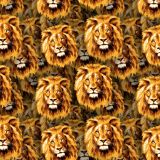 Lions-20.jpg