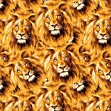 Lions-21.jpg