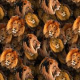 Lions-22.jpg