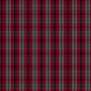 Little Tartan