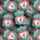 Liverpool-FC-22.jpg