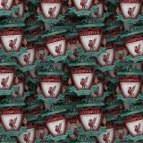 Liverpool-FC-23.jpg