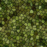 Lizard-Scales-thumb.jpg