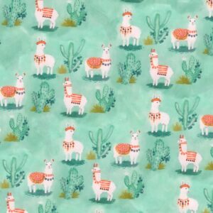 Llama Cactus 22