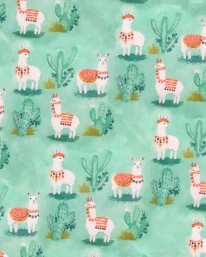 Llama Cactus 22