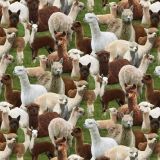 Llama-Cria-Herd.jpg