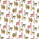 Llama-Llama-24.jpg