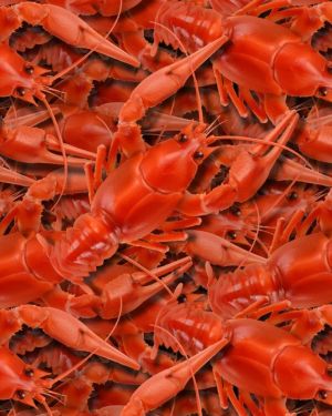 Lobster 22