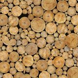 Log-Pile-22-thumb.jpg