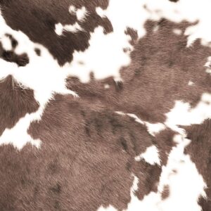 Longhorn Cowhide 22