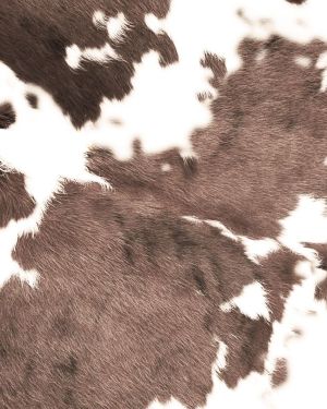 Longhorn Cowhide 22