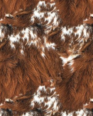 Longhorn Cowhide 24