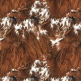 Longhorn-Cowhide-24.jpg