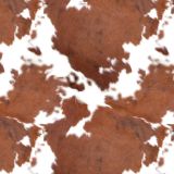 Longhorn-Cowhide-25.jpg