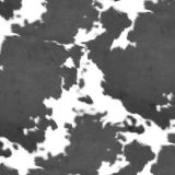 Longhorn-Cowhide-27.jpg