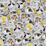 Looney-Tunes-Coins.jpg