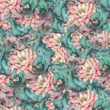 Lotus-Coy-22.jpg
