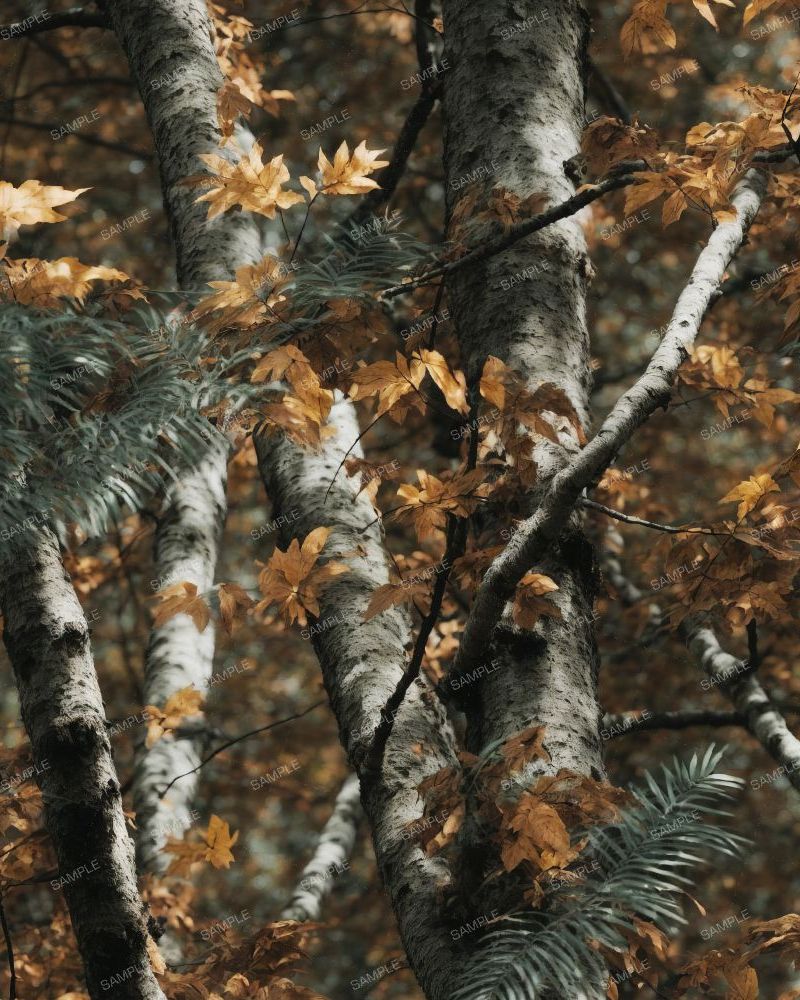 Louisiana Camouflage 44