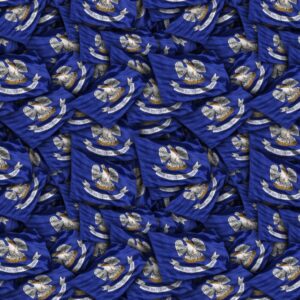 Louisiana State Flag