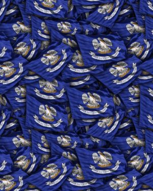 Louisiana State Flag