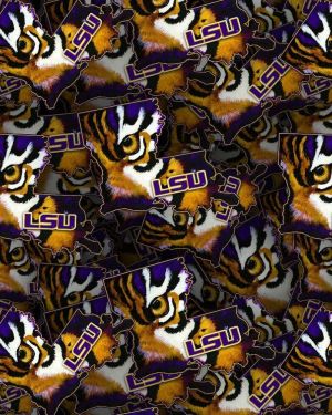 Louisiana State University Tiger State