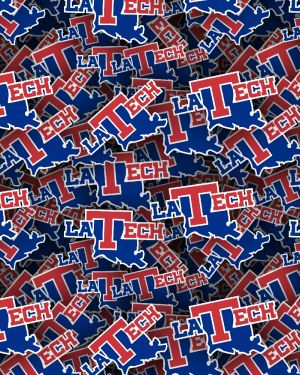 Louisiana Tech University