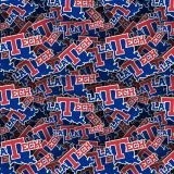 Louisiana-Tech-University.jpg